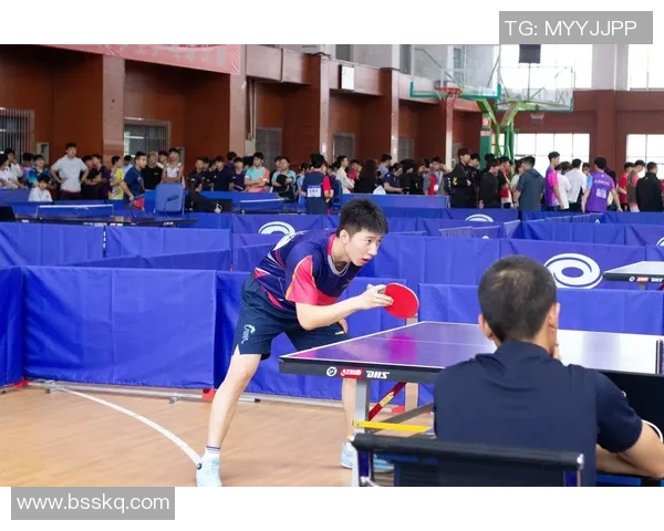 成都乒乓球队实力揭秘:乒乓球巨献背后的故事与成就